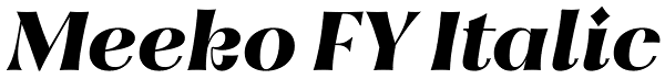 Meeko FY Italic Font