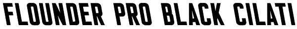 Flounder Pro Black Cilati Font