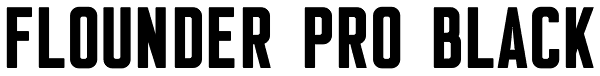 Flounder Pro Black Font