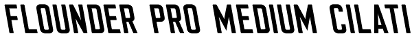 Flounder Pro Medium Cilati Font