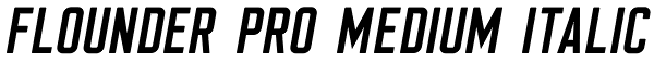 Flounder Pro Medium Italic Font