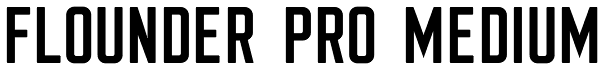 Flounder Pro Medium Font