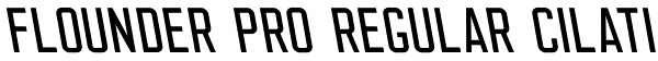 Flounder Pro Regular Cilati Font