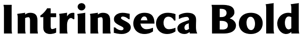 Intrinseca Bold Font