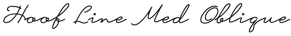 Hoof Line Med Oblique Font