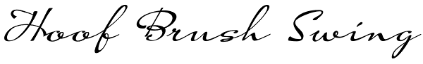 Hoof Brush Swing Font