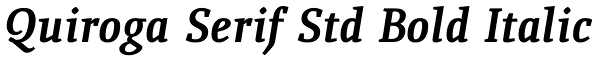 Quiroga Serif Std Bold Italic Font