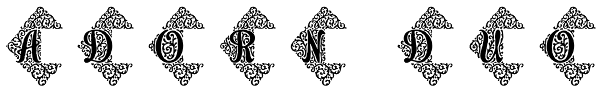 Adorn Duo Font