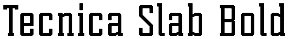 Tecnica Slab Bold Font