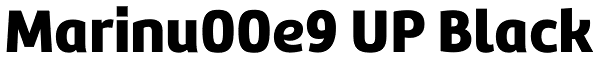 Marinu00e9 UP Black Font