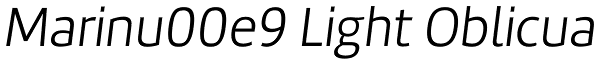 Marinu00e9 Light Oblicua Font