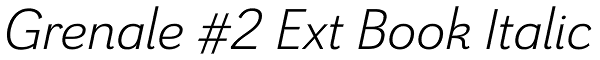 Grenale #2 Ext Book Italic Font