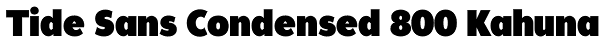 Tide Sans Condensed 800 Kahuna Font
